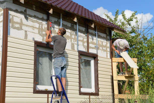 Best Siding Removal and Disposal  in Carrollton, AL